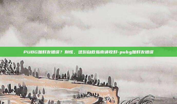 PUBG加好友错误？别慌，这份自救指南请收好-pubg加好友错误