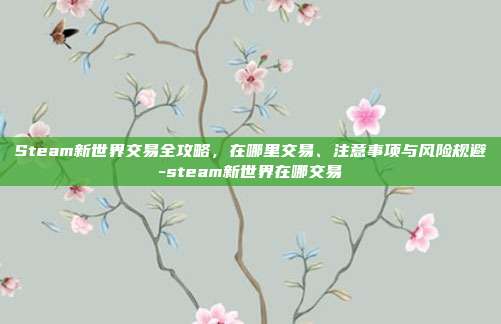 Steam新世界交易全攻略，在哪里交易、注意事项与风险规避-steam新世界在哪交易