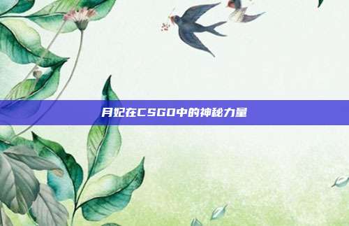 月妃在CSGO中的神秘力量