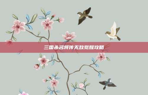 三国杀名将传无敌觉醒攻略