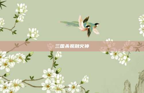 三国杀祝融火神