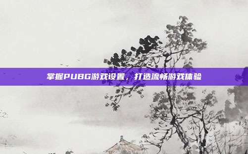 掌握PUBG游戏设置,打造流畅游戏体验