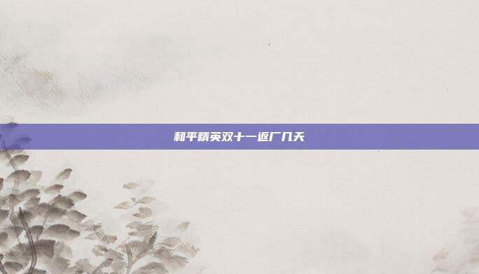 和平精英双十一返厂几天