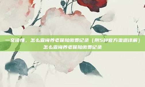 一文读懂,怎么查询养老保险缴费记录(附5种官方渠道详解)怎么查询养老保险缴费记录