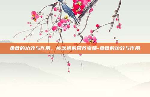 鱼骨的功效与作用,被忽视的营养宝藏-鱼骨的功效与作用
