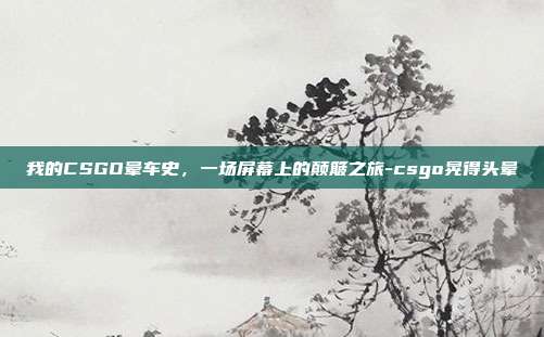 我的CSGO晕车史,一场屏幕上的颠簸之旅-csgo晃得头晕