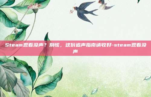 Steam观看没声？别慌，这份追声指南请收好-steam观看没声