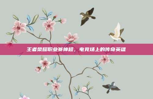 王者荣耀职业赛神超,电竞场上的传奇英雄