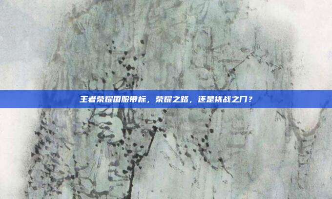 王者荣耀国服带标，荣耀之路，还是挑战之门？