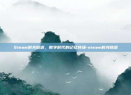 Steam时光隧道,数字时代的记忆转场-steam时光隧道