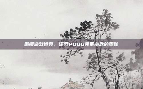 解锁游戏世界，探索PUBG免费密匙的奥秘
