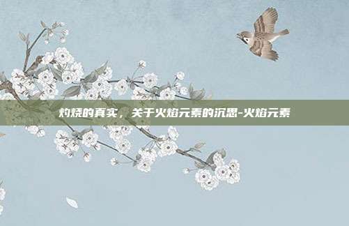 灼烧的真实，关于火焰元素的沉思-火焰元素