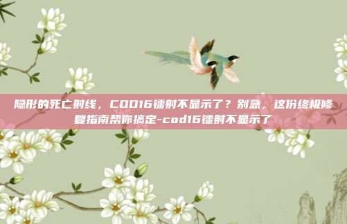 隐形的死亡射线，COD16镭射不显示了？别急，这份终极修复指南帮你搞定-cod16镭射不显示了