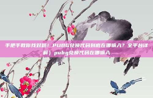 手把手教你找对路!PUBG兑换代码到底在哪输入?全平台详解)pubg兑换代码在哪输入