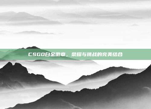 CSGO白金徽章，荣耀与挑战的完美结合