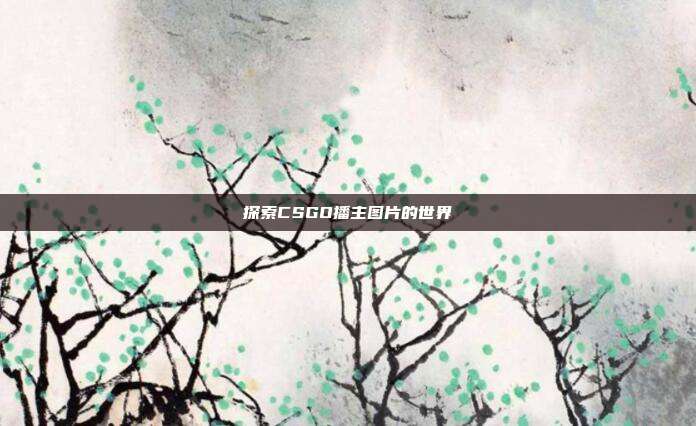 探索CSGO播主图片的世界