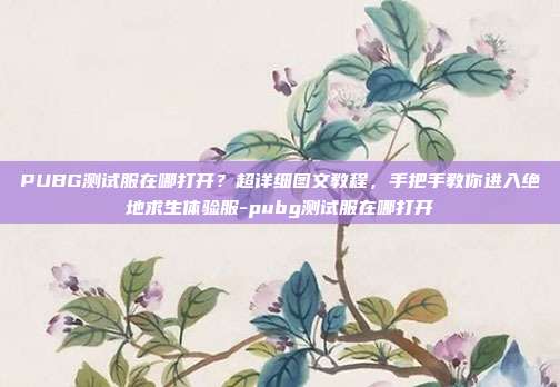 PUBG测试服在哪打开？超详细图文教程，手把手教你进入绝地求生体验服-pubg测试服在哪打开