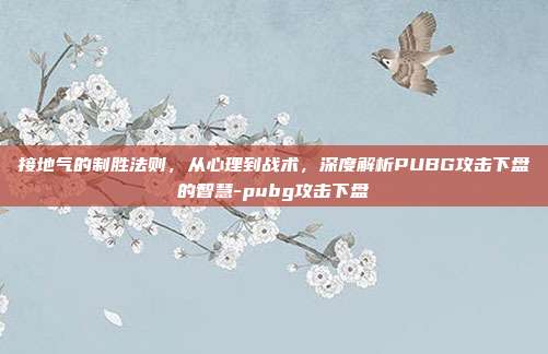接地气的制胜法则，从心理到战术，深度解析PUBG攻击下盘的智慧-pubg攻击下盘