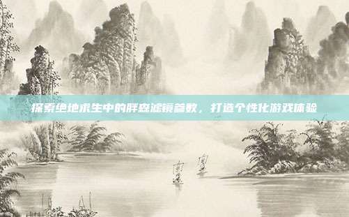 探索绝地求生中的胖森滤镜参数,打造个性化游戏体验