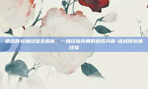 逆战背包加经验全解析,一场经验风暴的速成指南-逆战背包加经验