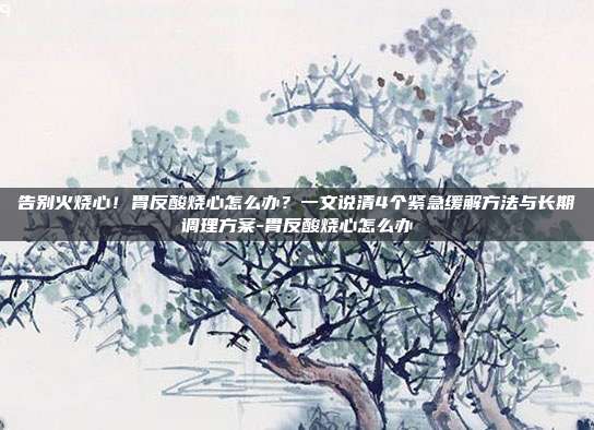 告别火烧心!胃反酸烧心怎么办?一文说清4个紧急缓解方法与长期调理方案-胃反酸烧心怎么办