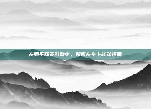 在和平精英游戏中,如何在车上转动视角