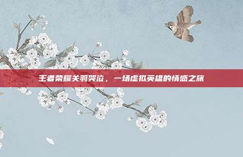 王者荣耀关羽哭泣,一场虚拟英雄的情感之旅
