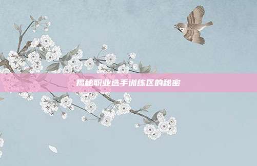 揭秘职业选手训练区的秘密