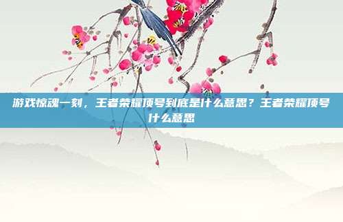 游戏惊魂一刻,王者荣耀顶号到底是什么意思?王者荣耀顶号什么意思