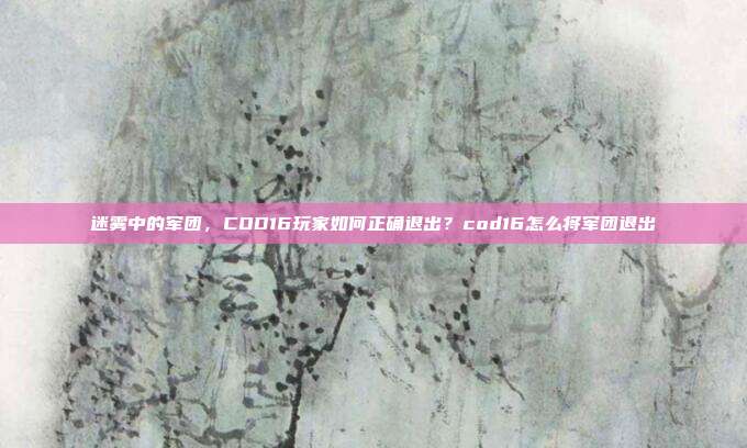 迷雾中的军团,COD16玩家如何正确退出?cod16怎么将军团退出