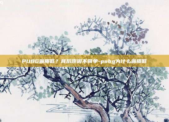 PUBG画质低？背后原因不简单-pubg为什么画质低