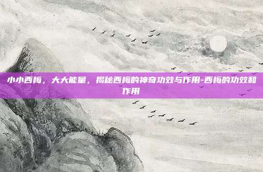 小小西梅，大大能量，揭秘西梅的神奇功效与作用-西梅的功效和作用