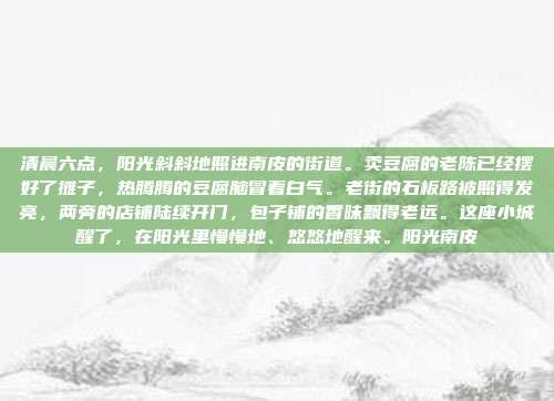 清晨六点,阳光斜斜地照进南皮的街道。卖豆腐的老陈已经摆好了摊子,热腾腾的豆腐脑冒着白气。老街的石板路被照得发亮,两旁的店铺陆续开门,包子铺的香味飘得老远。这座小城醒了,在阳光里慢慢地、悠悠地醒来。阳光南皮