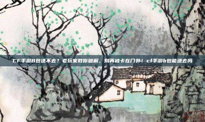 CF手游B包进不去？老玩家教你破解，别再被卡在门外！cf手游b包能进去吗