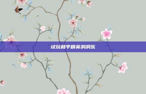 试玩和平精英洞洞乐