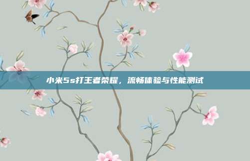 小米5s打王者荣耀，流畅体验与性能测试