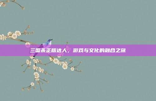 三国杀正版达人,游戏与文化的融合之旅