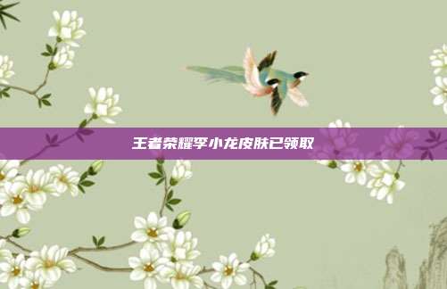 王者荣耀李小龙皮肤已领取