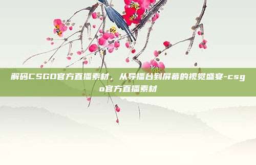 解码CSGO官方直播素材,从导播台到屏幕的视觉盛宴-csgo官方直播素材