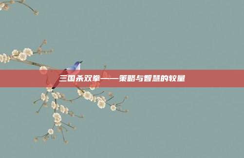 三国杀双拳——策略与智慧的较量