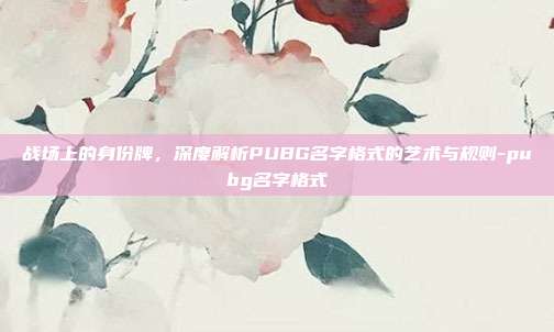 战场上的身份牌,深度解析PUBG名字格式的艺术与规则-pubg名字格式