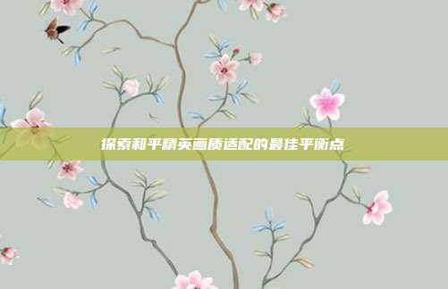 探索和平精英画质适配的最佳平衡点