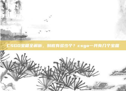 CSGO宝箱全解析,到底有多少个?csgo一共有几个宝箱