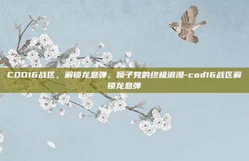 COD16战区,解锁龙息弹,喷子党的终极浪漫-cod16战区解锁龙息弹
