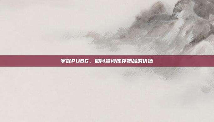 掌握PUBG,如何查询库存物品的价值