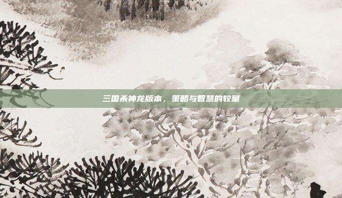 三国杀神龙版本，策略与智慧的较量