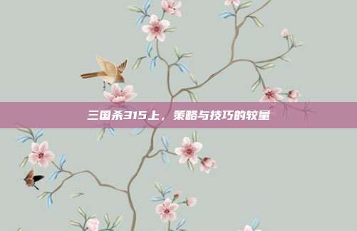 三国杀315上,策略与技巧的较量