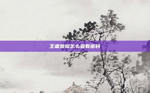 王者荣耀怎么查看密码