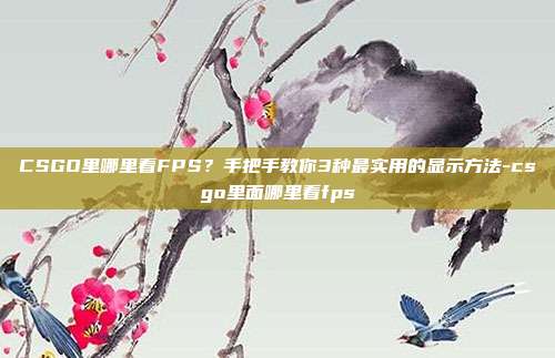 CSGO里哪里看FPS？手把手教你3种最实用的显示方法-csgo里面哪里看fps