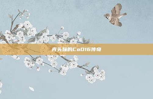 光头妹的CoD16传奇